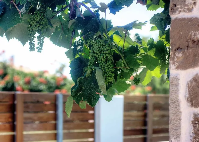 Issos Σπίτι διακοπών